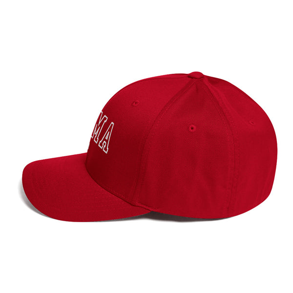 Strong Mama Bear Closed Back Hat